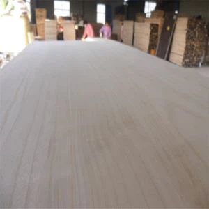 Paulownia Bord għal Kiteboard